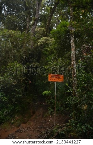 a sign in the forest