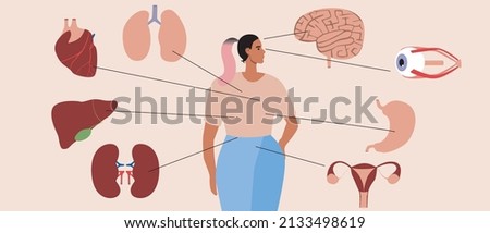 Human organs on example of young woman. Flat vector stock illustration. Educational infographic. Lungs, heart, brain, uterus, stomach, liver as insides
