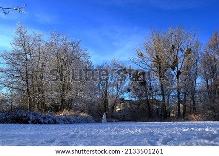 Winter landscape. Plenty of snow on the ground and in the trees. Blue sky and nice weather. Stockholm, Sweden, Europe.