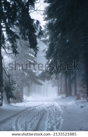 Snow-covered forest road between snowy fir trees and pines in a winter forest in the icy mist Royalty-Free Stock Photo #2133521885