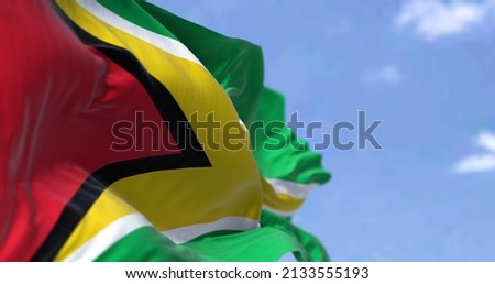 Detail of the national flag of Guyana waving in the wind on a clear day. Guyana is a country on the northern mainland of South America and the capital city is Georgetown. Selective focus.