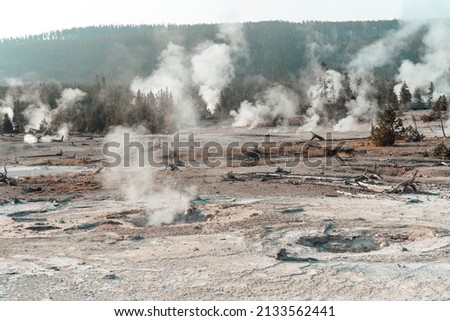 Norris Geyser Basin area of Yellowstone National Park in the morning Royalty-Free Stock Photo #2133562441