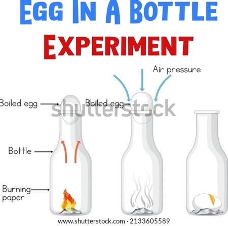 Diagram showing experiment with eggs illustration