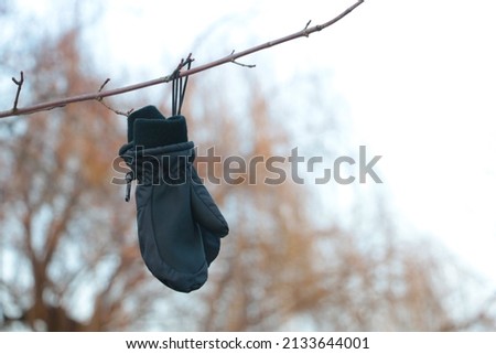 A glove hangs from a tree branch