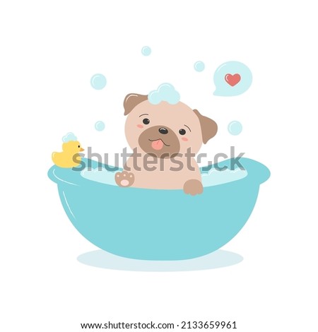 Kawaii pug in a bath with bubbles and rubber duck toy. Cartoon cute dog for pet grooming salon. Vector illustration isolated on white background