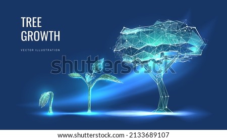 Digital evolution or seedling growth in futuristic polygonal style. The concept of business and income growth and startup transformation. Vector illustration Royalty-Free Stock Photo #2133689107