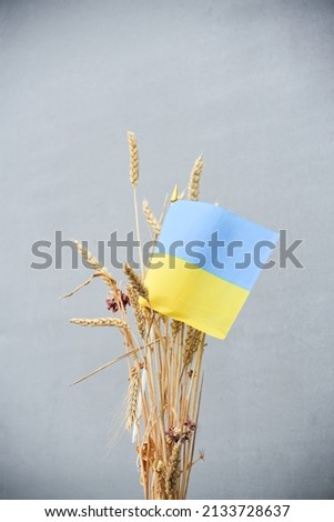 Flag of Ukraine with wheat bunch on grey background,stand with Ukraine. Patriotic cover photo
