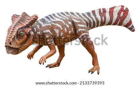 Koreaceratops is a herbivore genus of basal ceratopsian dinosaurs discovered in Albian-age Lower Cretaceous rocks of South Korea. Koreaceratops isolated on white background with clipping path. Royalty-Free Stock Photo #2133739393