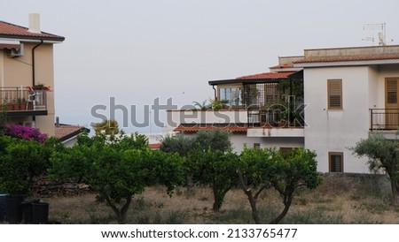 Vineyard and house in rural landscape 
