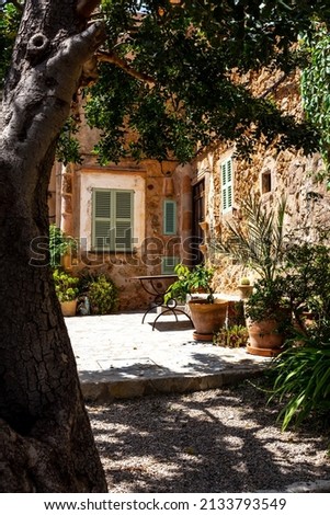 A vertical shot of a beautiful house with colorful windows and plants in pots from a tree frame