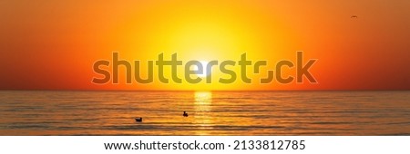 summer time orange sunset on seaside panorama