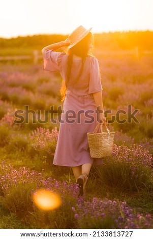 Back view portrait of stylish brunette female in a straw hat walking outdoors at the lavender field. Brunette woman with picnic basket meeting sunset, enjoying fresh air, beautiful nature concept.
