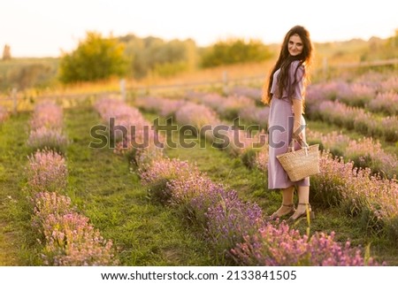 Young adult woman in stylish romantic dress walking at the lavender field with picnic basket. Beautiful brunette female spending weekends outdoors, enjoying fresh air, beautiful nature concept.