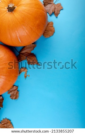 Composition of halloween decoration with pumpkin, leaves and copy space on blue background. halloween tradition and celebration concept digitally generated image.