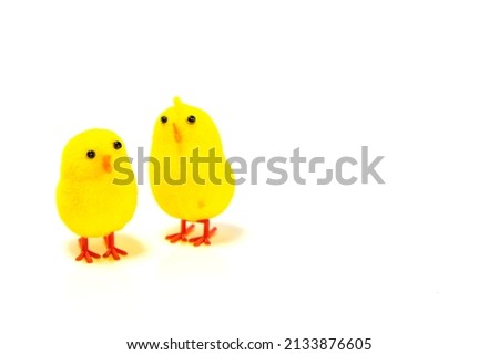 Yellow chicks isolated on white background. Adorable easter chicks.