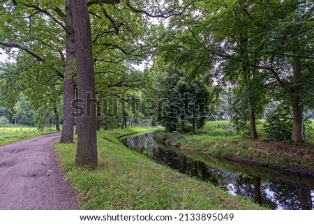 Dutch nature landscape with water and woods
