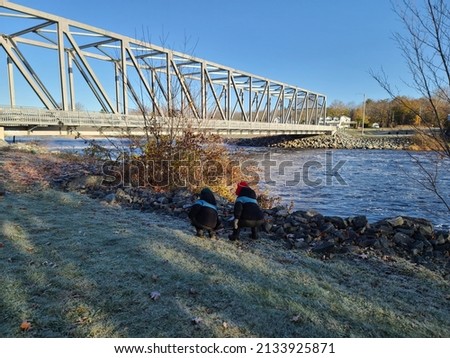 Two children playing by a river with a large steel bridge extending across it in the background.