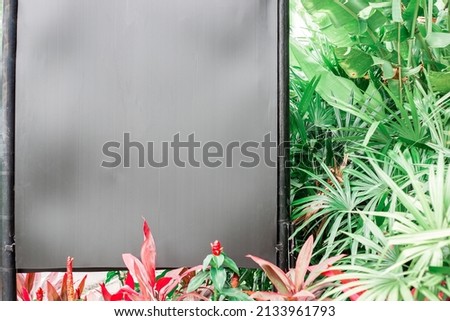 Red flower buds and tropical greenery with a gray billboard for text and advertising. Copy space in a tropical garden.