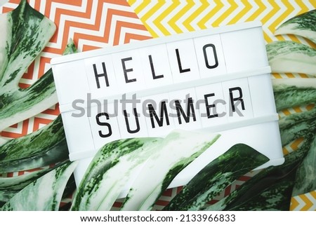 Hello Summer word in lightbox with Monstera Leaves decoration