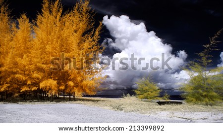 Nature in Infrared