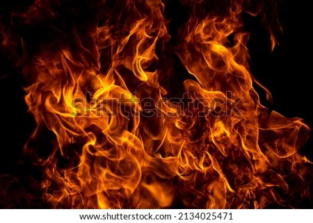 Blaze burning fire flame on art texture background. Royalty-Free Stock Photo #2134025471