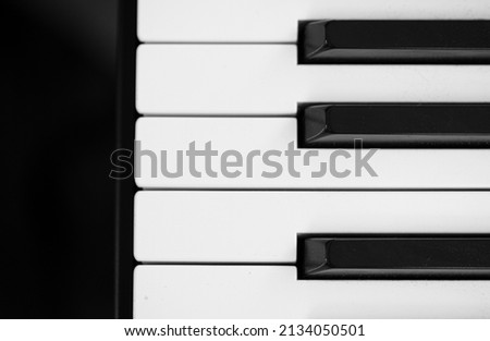 Piano keys background. Piano keys