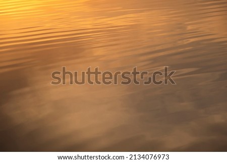 Water surface in sunset time. Ripples and small golden waves on the water. Copy space