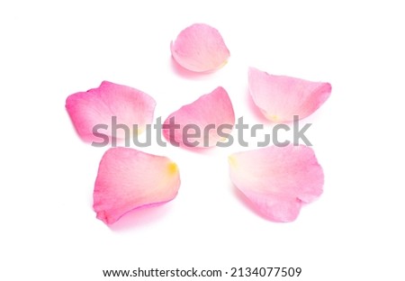 pink rose petals isolated on white background Royalty-Free Stock Photo #2134077509