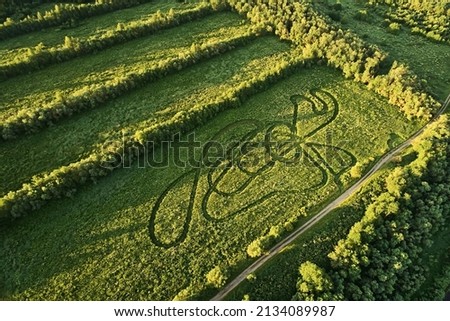 Top view of the green grass and abstract rounded lines formed by the haying technique, in bright sunset light in summer. Photograph with drone 