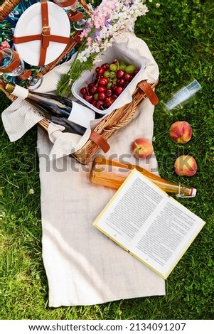 leisure and summer concept - close up of picnic basket with food and drinks and book on blanket on grass Royalty-Free Stock Photo #2134091207