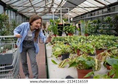 A female customer takes a photo of a potted plant with her smartphone while shopping at a home improvement store. The concept of gardening, planting and shopping. copy space.