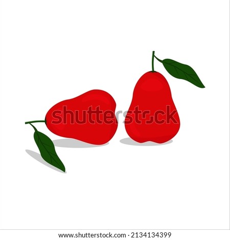 fresh guava fruit vector red color cdr . file