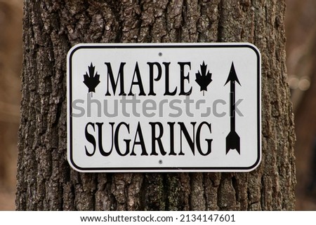 The close up image of a white metal sign that reads "MAPLE SUGARING" with an arrow pointing ahead. It's hung on a tree trunk.