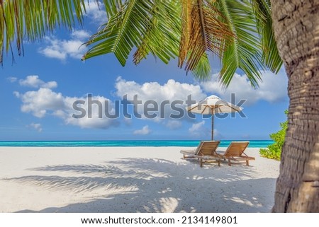 Amazing vacation beach. Chairs on the sandy beach near the sea. Summer romantic holiday concept for tourism. Tropical island landscape. Tranquil shore scenery, relax sand seaside horizon, palm leaves Royalty-Free Stock Photo #2134149801