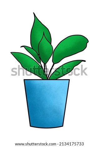 Flower ornamental plants in pots. Indoor ornamental plant with lush leaves. Abstract home decoration in flower pot. Natural interior decoration. Flat vector illustration isolated on a white background
