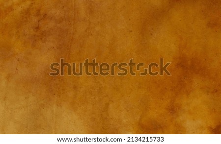 Organic Texture, Abstract Background, Nature Macro