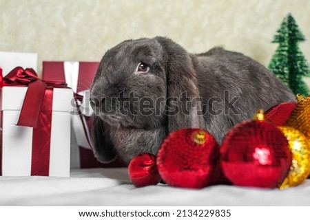 Happy new year 2023 background. Rabbit and Christmas balls with gifts. New year holidays card invitation with bright lights, gifts