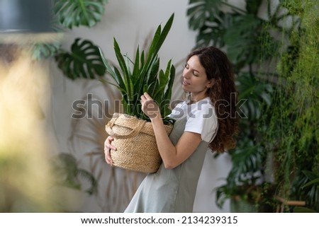 Plant care. Woman florist taking care about snake plant in home garden, holding Sansevieria houseplant in wicker planter and touching green leaves while standing in greenhouse, selective focus Royalty-Free Stock Photo #2134239315