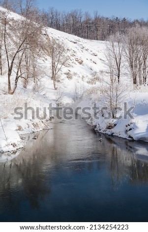The river flows out of a spring under the snow. The flow of open water against the background of the winter forest. Cold season, winter landscape. High quality photo