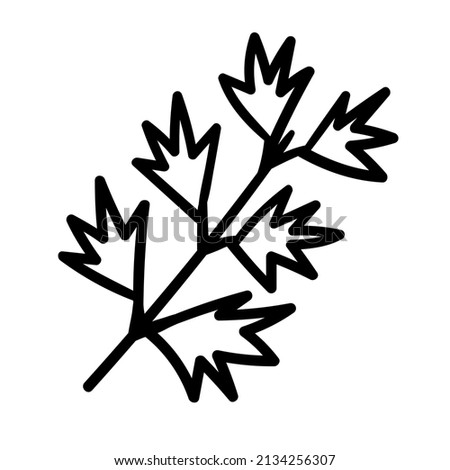 Doodle Branch with Leaves. Hand drawn Floral vector element. Isolated cartoon Botanical illustration.