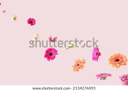 Colorful spring flowers flying in the air on a pink background. Aesthetic surreal flower concept. Royalty-Free Stock Photo #2134276093