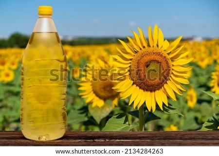 Sunflower oil in plastic bottle on wooden table and field with Sunflower flowers on the background. Photo with copy space for your text. Concept of organic food, healthy eating and healthy lifestyle.