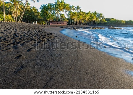 Coconut Palm Trees Along The Black Sand of Punalu'u Beach, Hawaii Island, Hawaii, USA Royalty-Free Stock Photo #2134331165