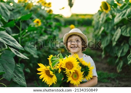 Happy little boy walking in field of sunflowers. Child playing with big flower and having fun. Kid exploring nature. Baby having fun. Summer activity for inquisitive children. Royalty-Free Stock Photo #2134350849