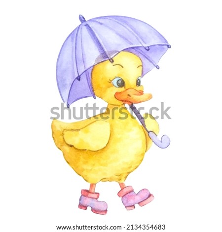 Watercolor duckling with a purple umbrella in pink boots