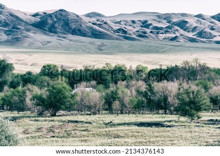 steppe, prairie, veld, veld - Great steppe, located in Kazakhstan. These are huge stretches of flat meadows with moderate temperatures, moderate rainfall and few trees.