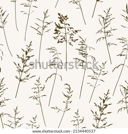Seamless pattern witn delicate thin silhouettes of dry wild herbs. Simple wild grass background. Floral texture for surface design.
