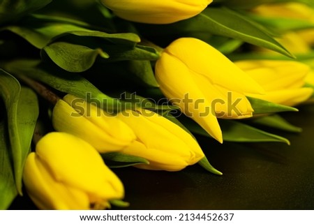 Yellow Flower Memorial for Ukraine. Black background.