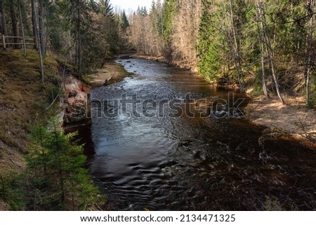 Amata river and forest in spring. (Gauja National Park, Latvia) Latvia.