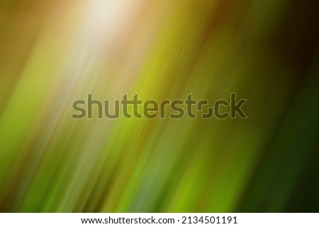 Smooth Green Yellow Brown Background, Motion blur Diagonal Pattern, Gentle Bokeh